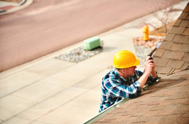 Best Roof Moss and Algae Removal  in Hawkins, TX